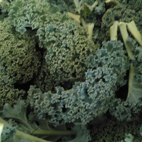 Couve Kale Bio, molho 150 gr. Produto proveniente de agricultura biológica, Certificada.