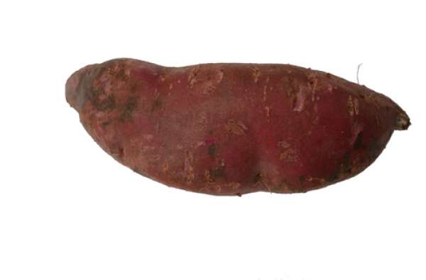 Comprar Batata Doce Bio, litoral Alentejano. A batata doce tem uma excelente capacidade para fornecer energia devido aos seus carboidratos saudáveis.