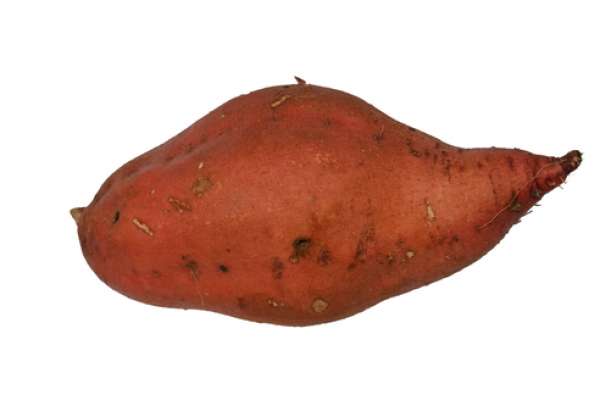 Compre Batata Doce Laranja Bio, Online. O sabor da batata doce de polpa laranja é mais suave do que o da de polpa branca. 