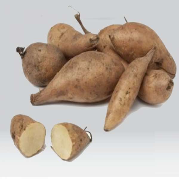 A batata Yacon pode ser consumida crua, como fruta ou cozida em sopas.