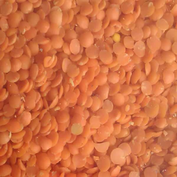 Lentilhas sem casca biológicas, estas lentilhas ao serem descascadas tornam-se ainda de mais fácil digestão e rápida cozedura. Produto de agricultura