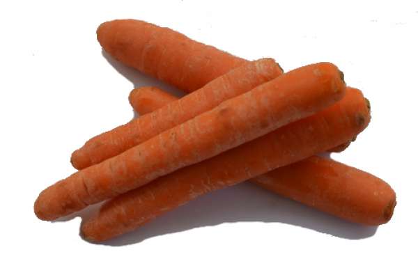 As cenouras biológicas são cheias de benefícios para a saúde. Podemos comer cenouras cruas, em vinagrete ou picles ou mesmo cozidas.