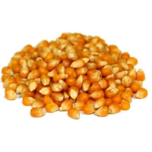 Experimente fazer deliciosas pipocas com este milho especial proveniente de Agricultura Biológica.