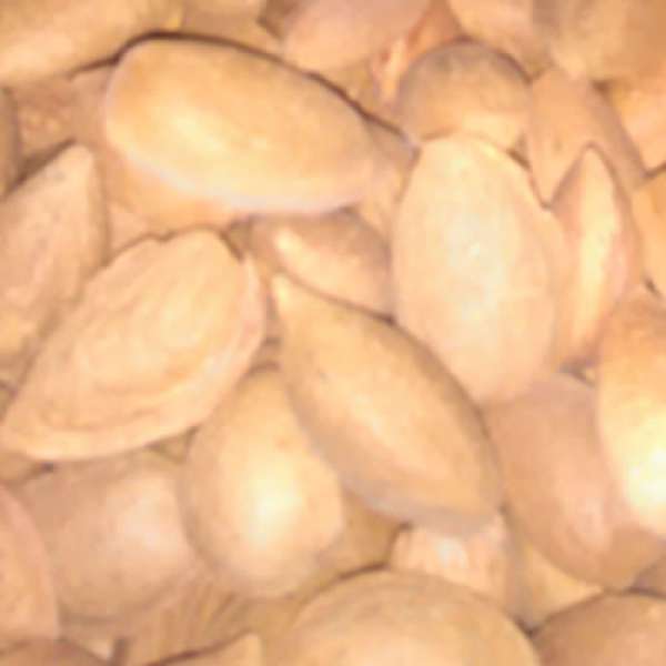 Comprar amendoas bio, online. Amêndoa Biológica com casca rija. 