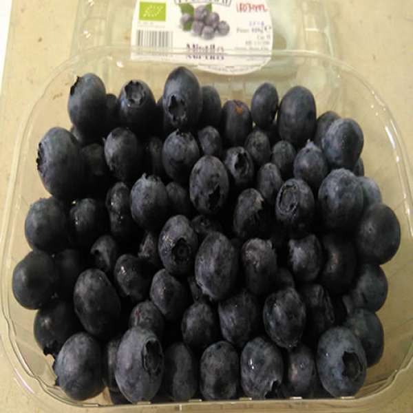 Mirtilos Bio, 250 gr