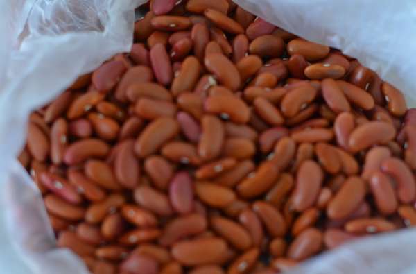 Feijão Vermelho Bio