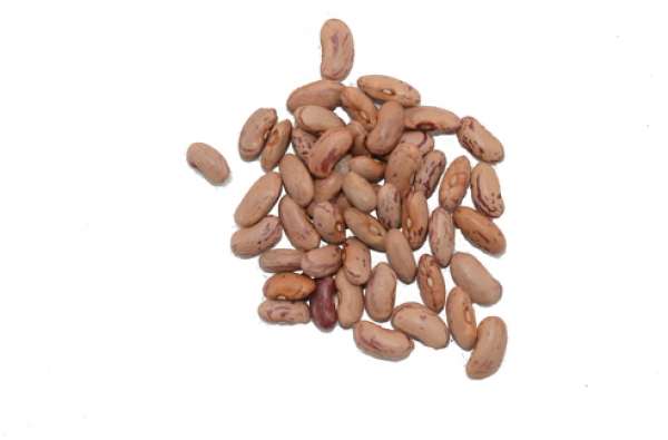 Feijão Catarino Bio